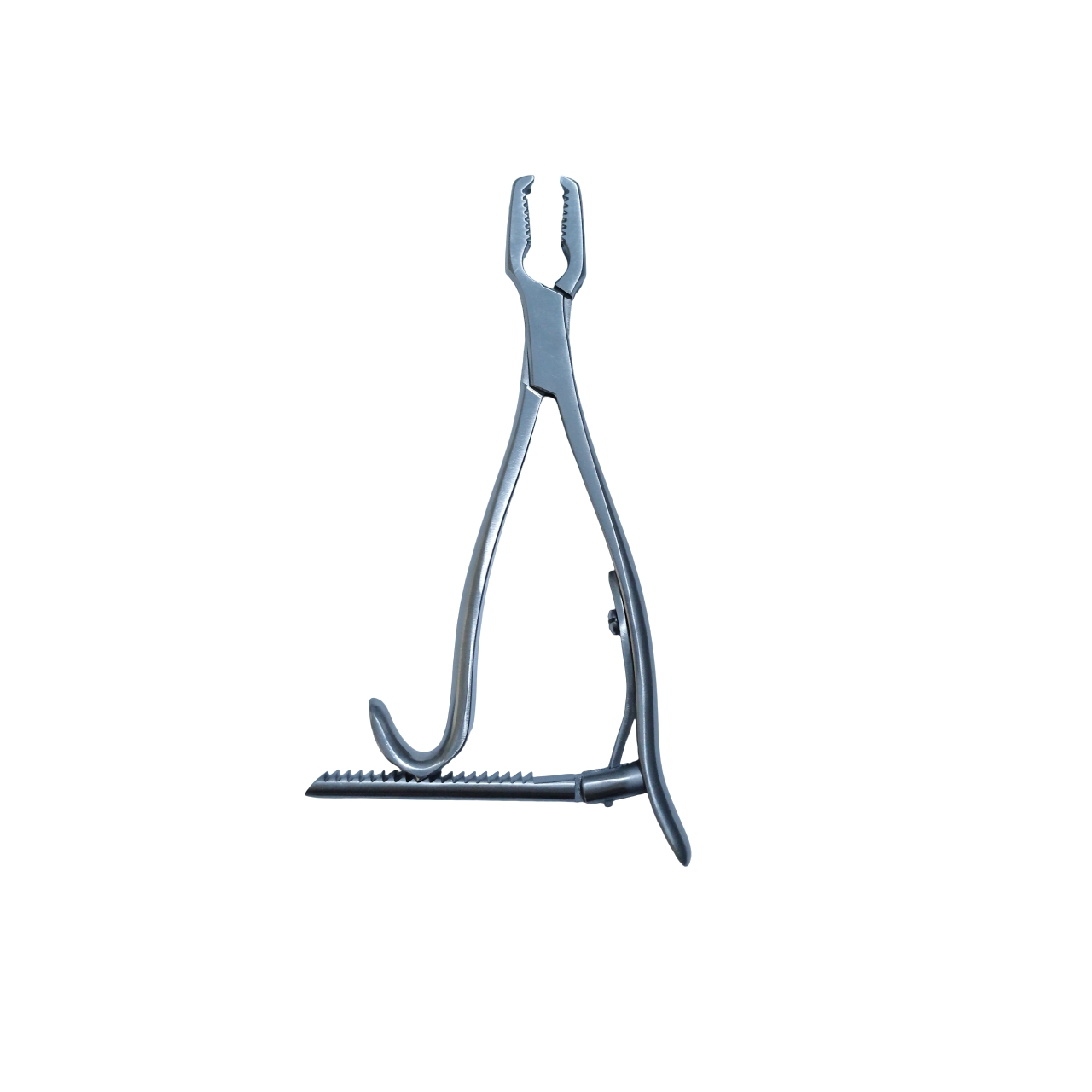 Kern Kemik Tutucu 16 cm