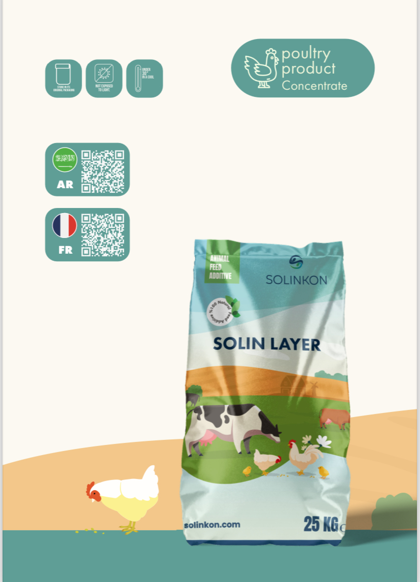 SOLIN LAYER
