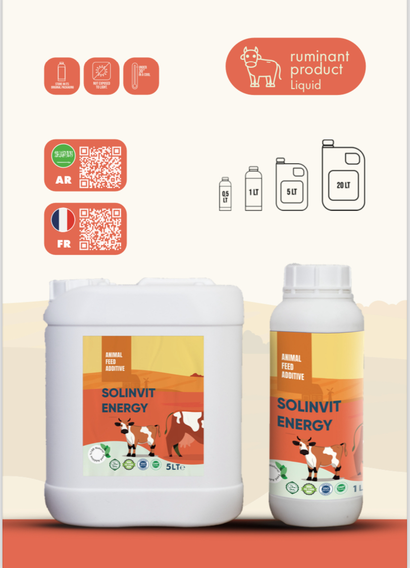SOLINVIT ENERGY