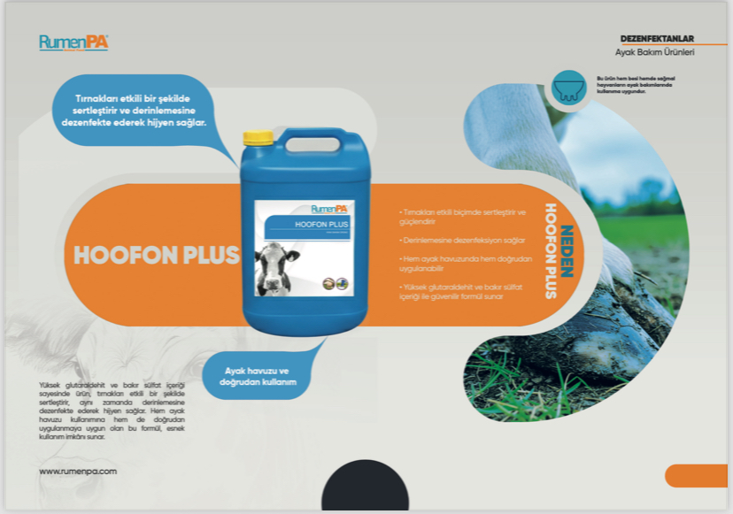 HOOFON PLUS