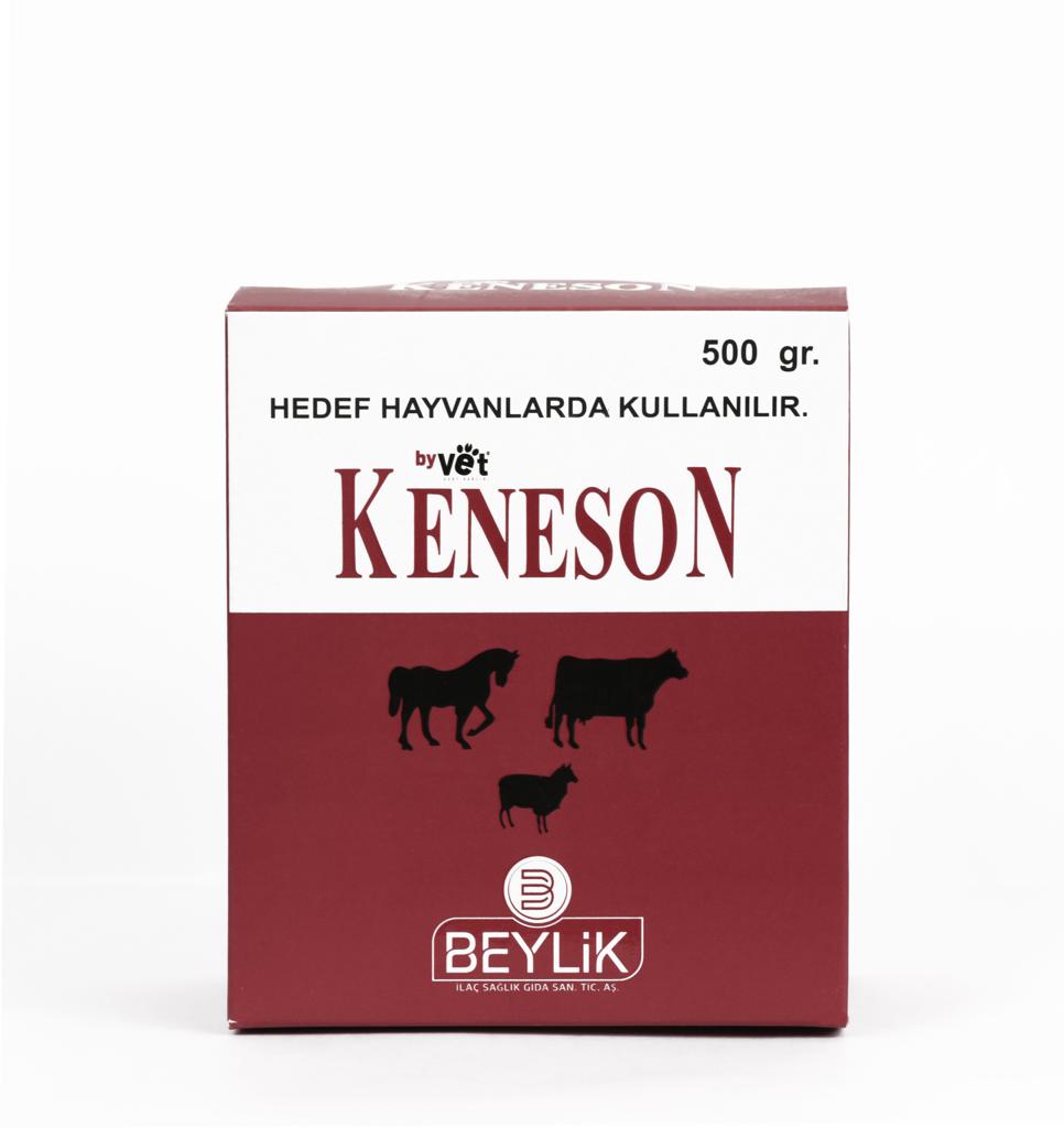 BYVET KENESON